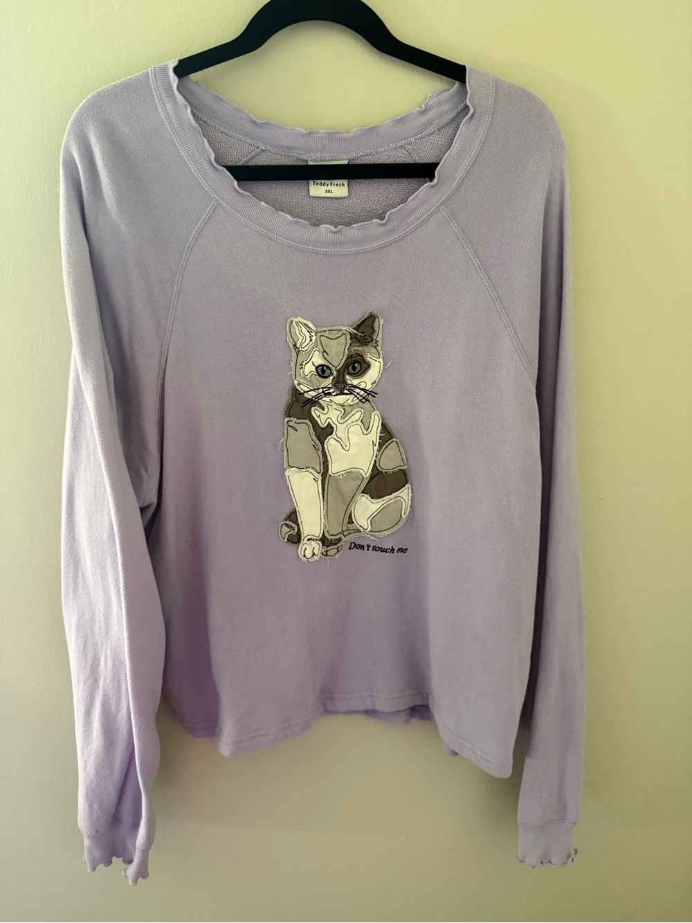 Teddy Fresh sweater